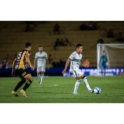 Na Série A, o Athlético PR aguarda a retomada dos jogos e as outras séries do Brasileirão 2024 não foram suspensas